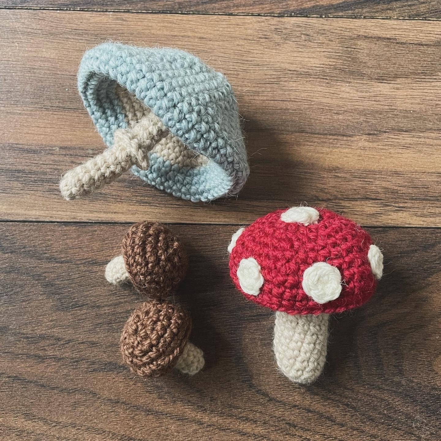 Mushroom Crochet Pattern: Toadstool Home Decor (Digital Pattern)