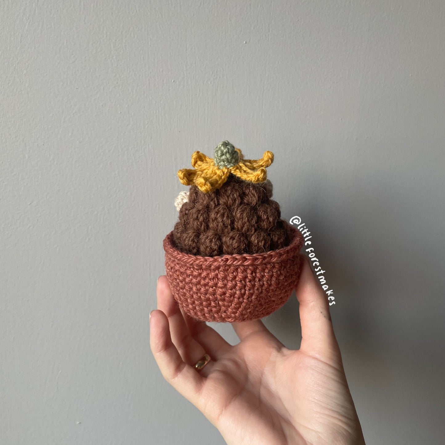 Hedgehog Crochet Pattern: Thistle in Flower Pot (Digital Pattern)