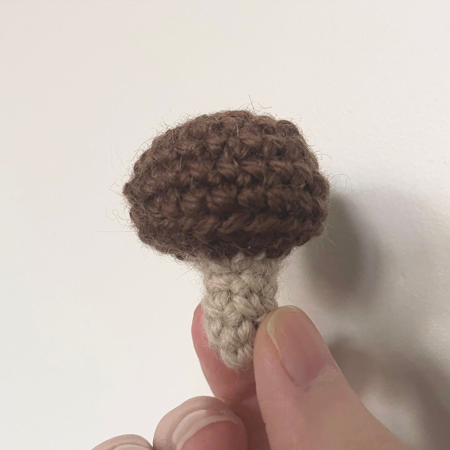 Mushroom Crochet Pattern: Toadstool Home Decor (Digital Pattern)