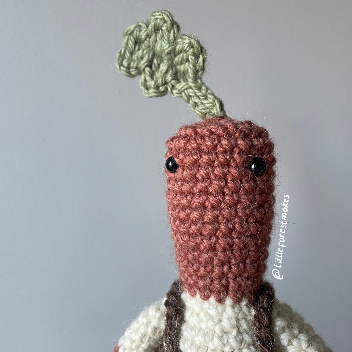 Callum the Carrot Crochet Pattern Cottagecore Crochet Plant Doll Plushie [DIGITAL PDF] (Downloadable File)