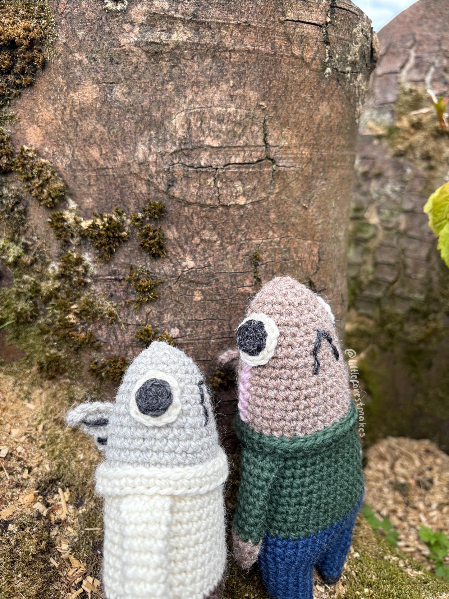 Crochet Fish Plushie Pattern: Dace and Rainbow Trout (Digital PDF)