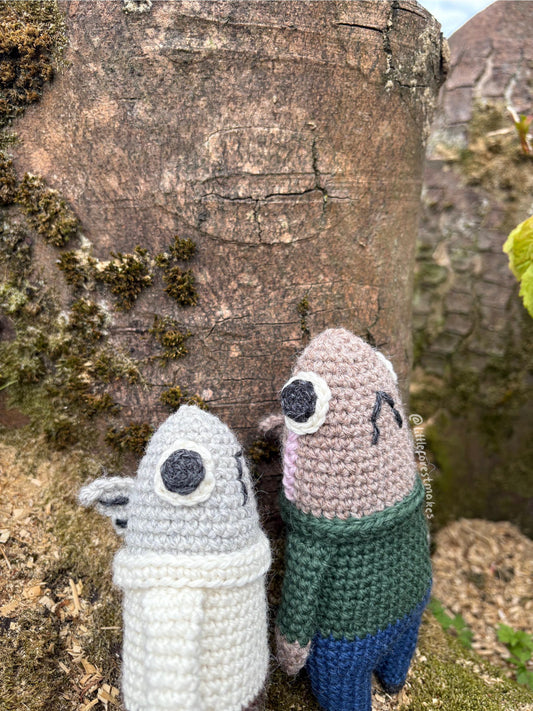 Crochet Fish Plushie Pattern: Dace and Rainbow Trout (Digital PDF)