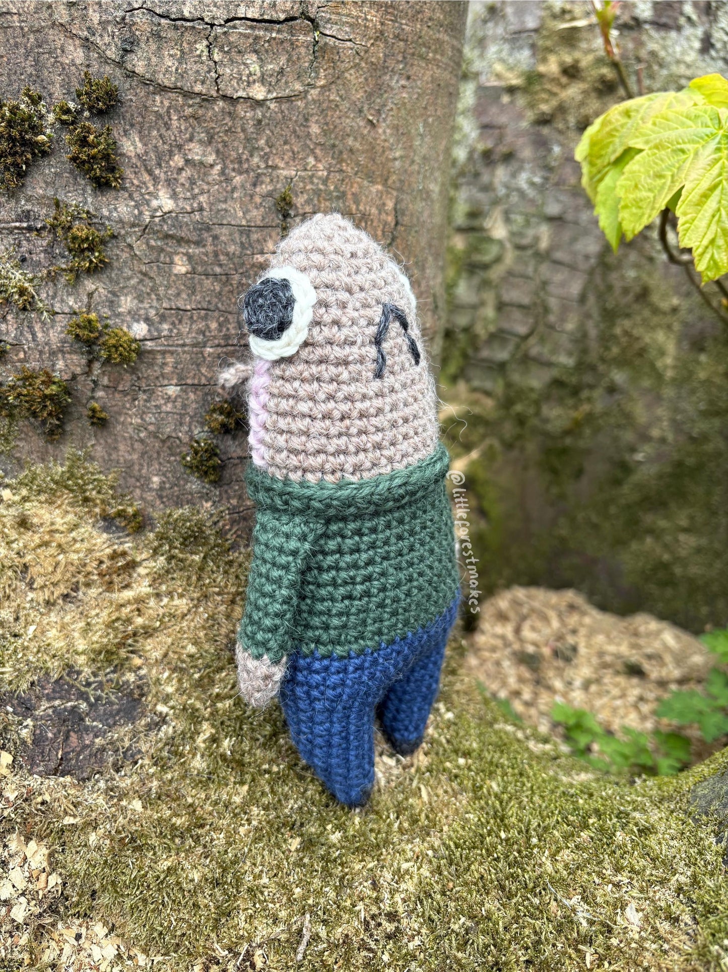 Crochet Fish Plushie Pattern: Dace and Rainbow Trout (Digital PDF)