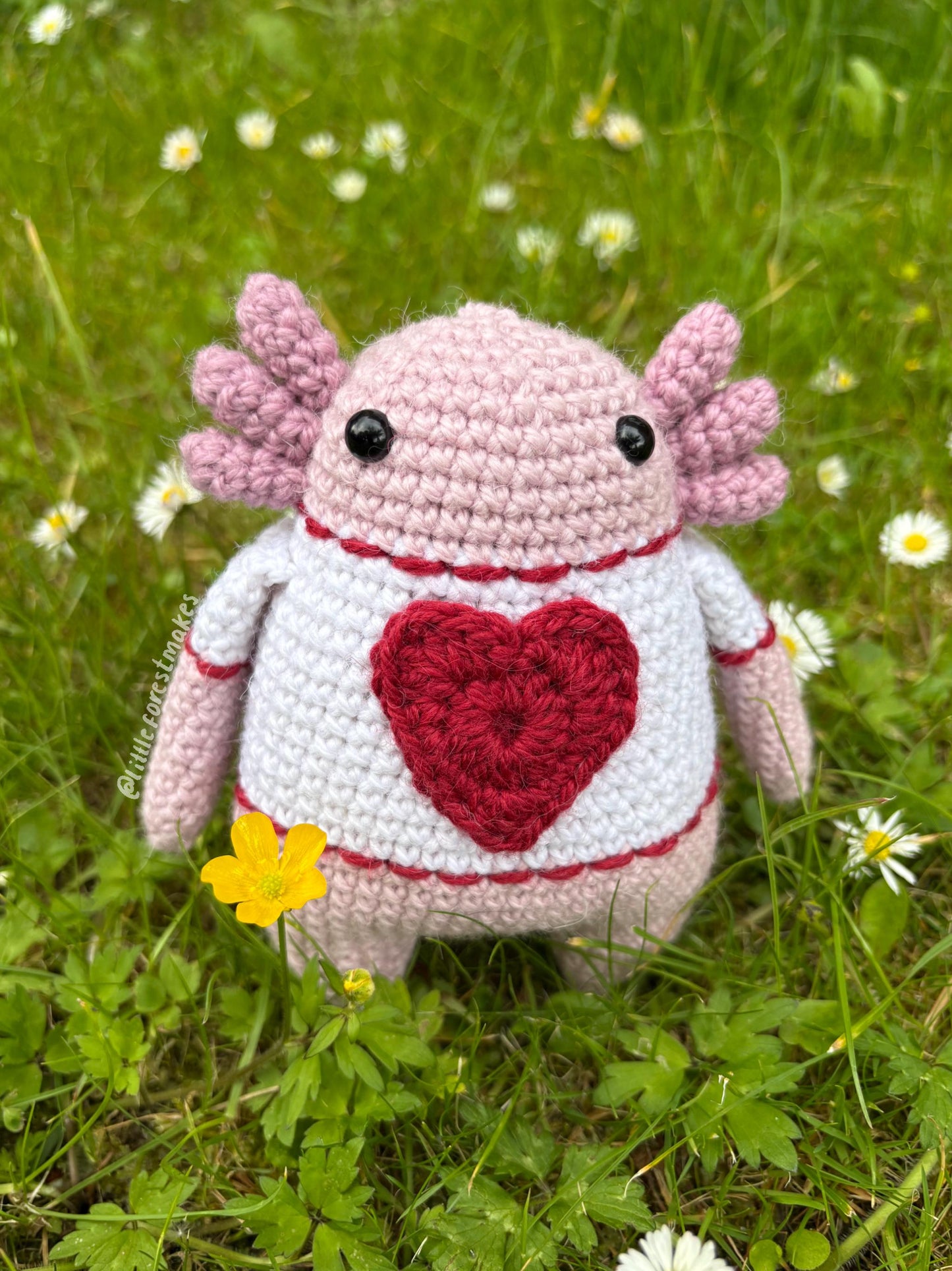 Andy the Axolotl Crochet Plushie Doll Animal Pattern - [DIGITAL PDF] (Downloadable File)